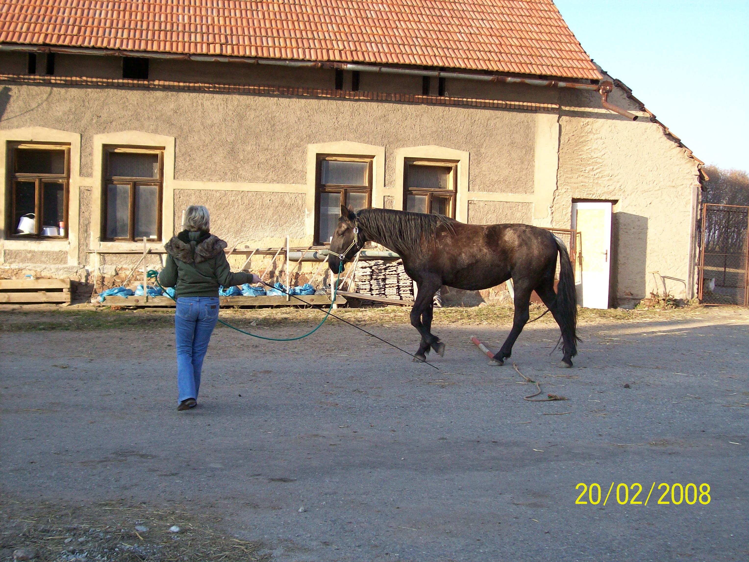 Máma a lonžování