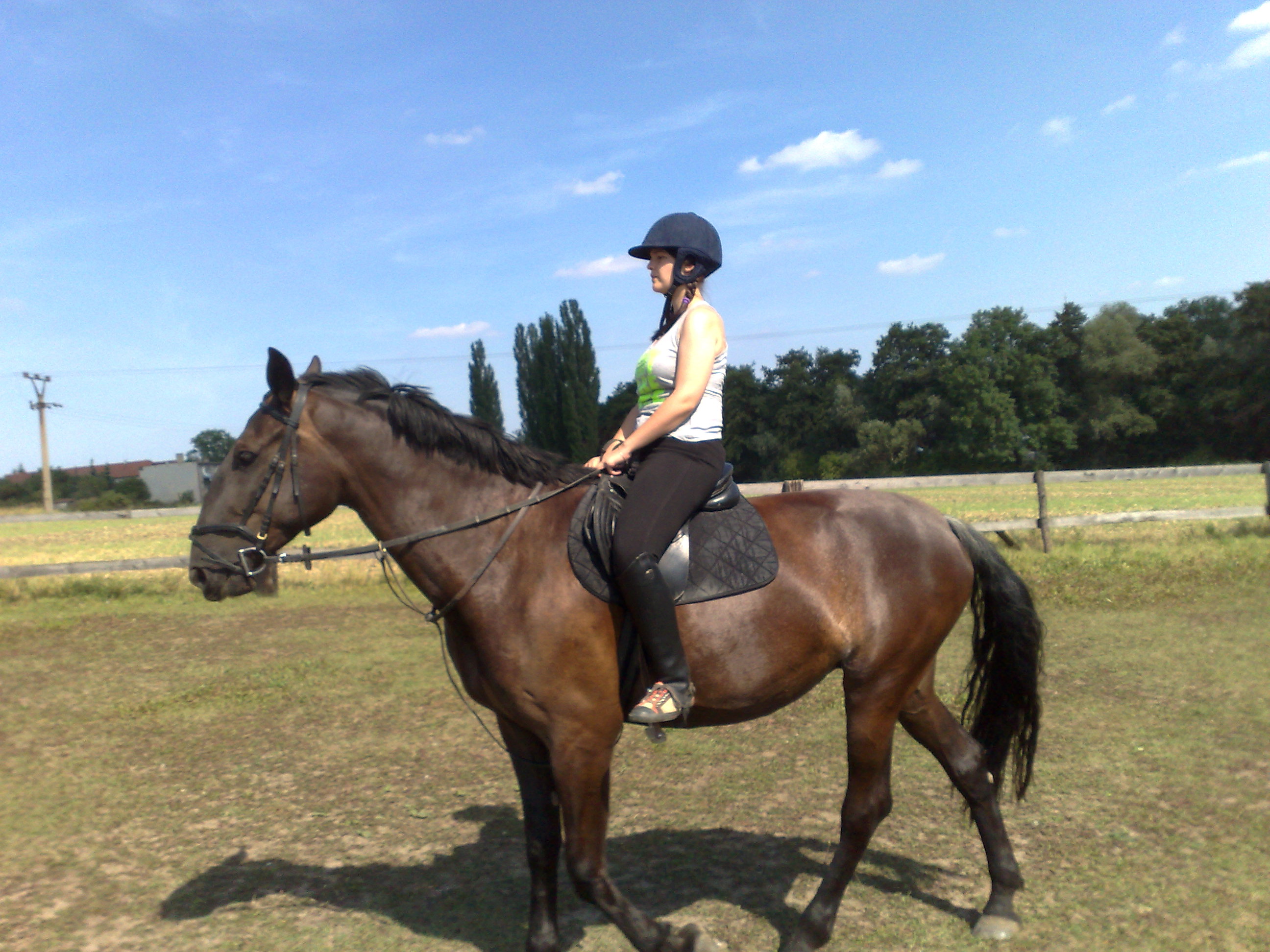15082009233.jpg