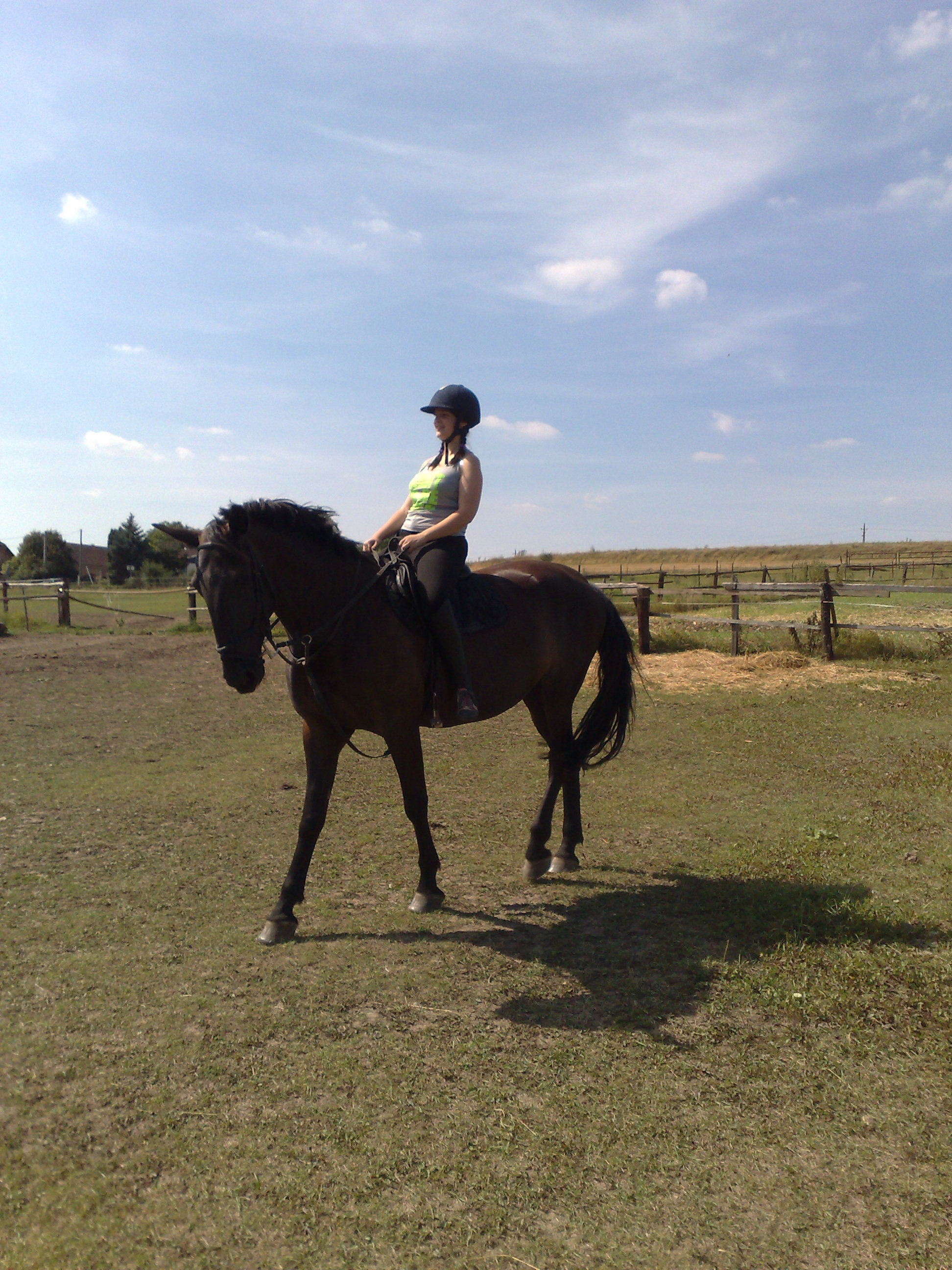15082009236.jpg